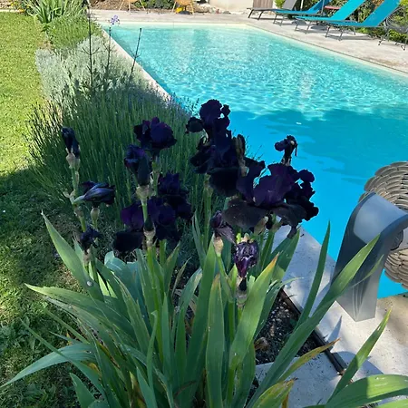 Le De La Maison Des Chats - En Quercy Vakantiehuis Saint-Amans-du-Pech