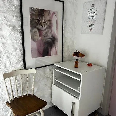 Le De La Maison Des Chats - En Quercy *
