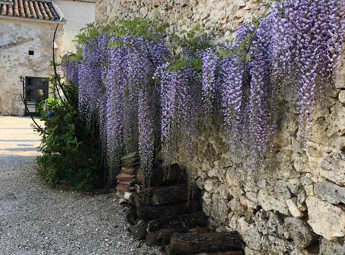 Vakantiehuis Le De La Maison Des Chats - En Quercy *