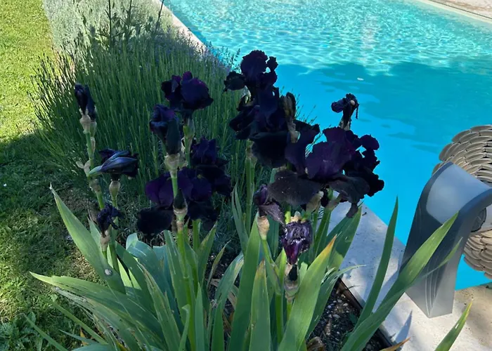 Le De La Maison Des Chats - En Quercy Vakantiehuis Saint-Amans-du-Pech