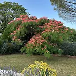 Le De La Maison Des Chats - En Quercy *
