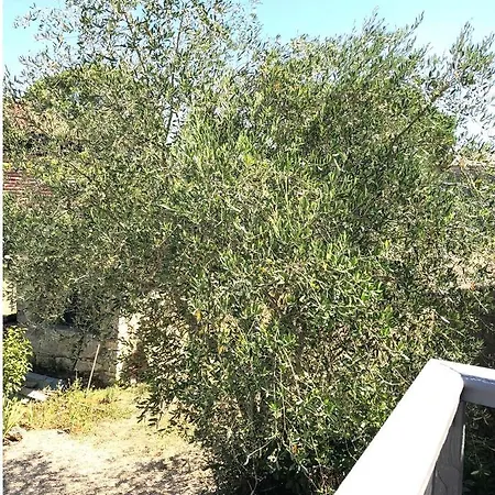 Casa de Férias Le De La Maison Des Chats - En Quercy *