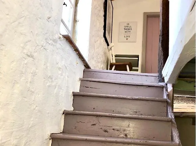 Le De La Maison Des Chats - En Quercy Hébergement de vacances