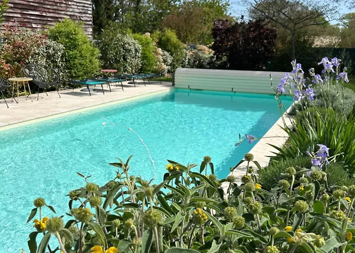 Le De La Maison Des Chats - En Quercy Hébergement de vacances